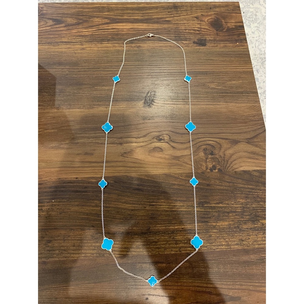 Silver & Turquoise Necklace (NWOT)